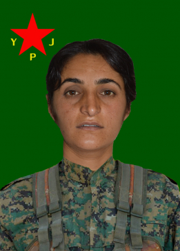 Rojen Rojhilat