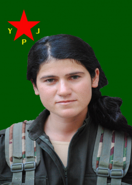 Ronahî Rojhat