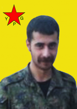 Şahîn Serhed