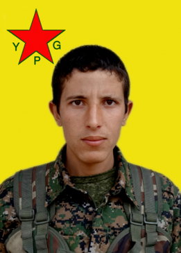 Serhed Agirî