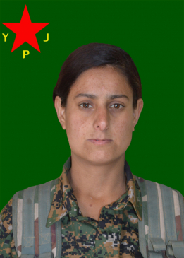 Sila Cudî