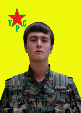 Şiyar Şêrewa