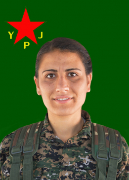 Tekoşîn Lîce