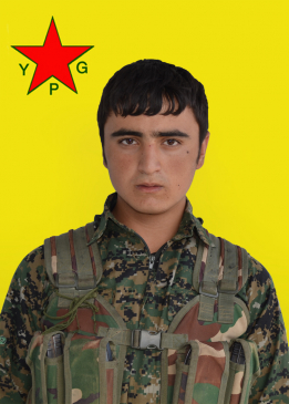 Tolhildan Zagros