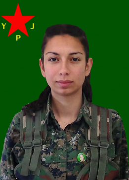 Viyan Cudî