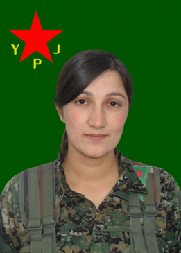 Viyan Faraşîn