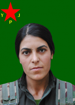 Viyan Peyman