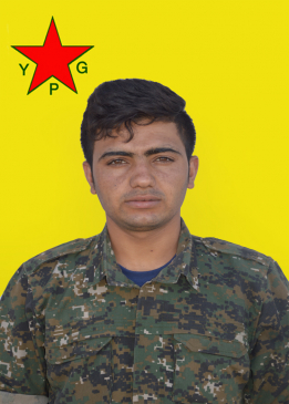 Xemgîn Kobanê