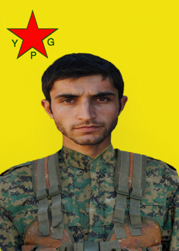 Zafer Havîn