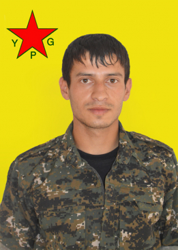 Zagros Cizîr