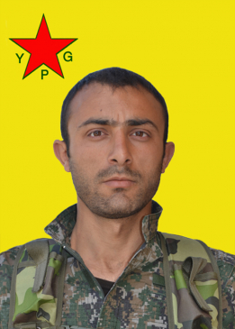 Zerdeşt Arî