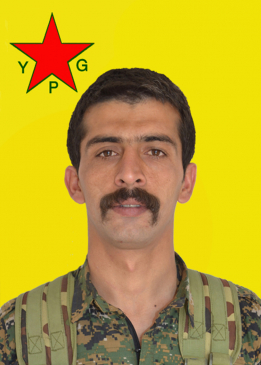 Zerdeşt Avesta