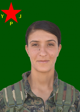 Zîlan Efrîn