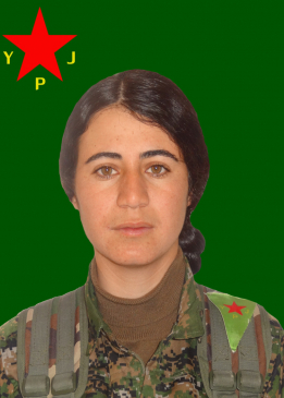 Zîlan Elî Firat