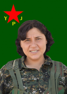 Zîlan Întîqam