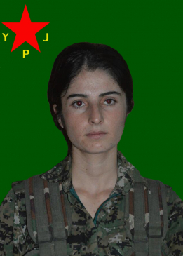 Zîn Zagros