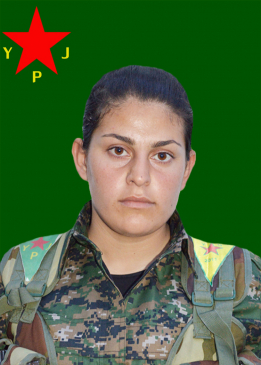 Zinarîn Botan