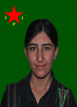 Zinarîn Firat